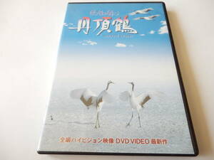 DVD/丹頂鶴- 優雅に舞う/鶴/ツル/水辺に舞う/青空に舞う/求愛の舞い/夕空に舞う/湿原に舞う/Sacred Crane