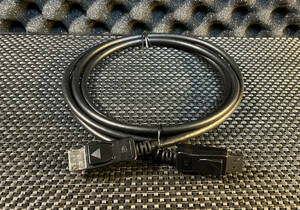 DisplayPort display port cable 1.8m bizlink displayport cable 000604
