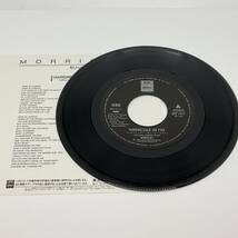 レコード 7” MORRISSEY (モリッシー) - Hairdresser On Fire (Japan Ltd Promo.7"+Insert)_画像3