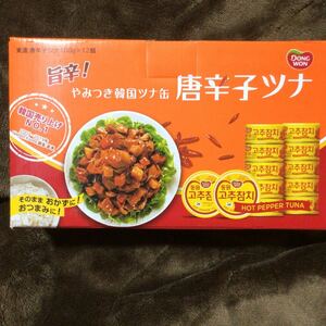  chili pepper tsuna100g×12 can 