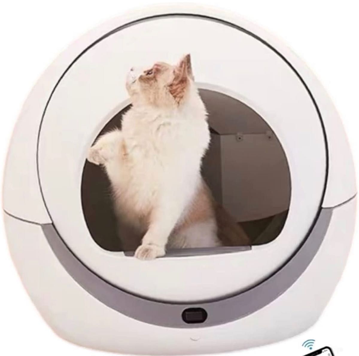 格安即決 Pandaloli トイレ 猫 猫 定番入荷 大型スマホ管理 Pandaloli