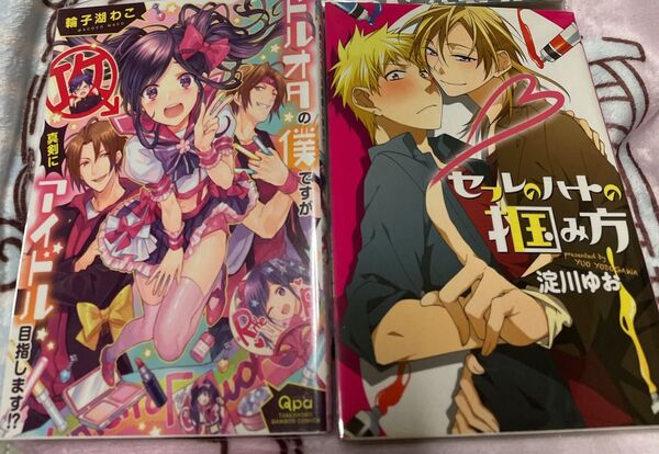 BL ドルオタの僕ですが真剣にアイドル目指してます!? セフレのハートの掴み方