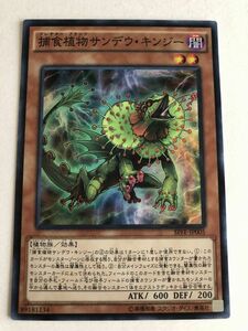 遊戯王　闇　捕食植物サンデウ・キンジー　スーパー