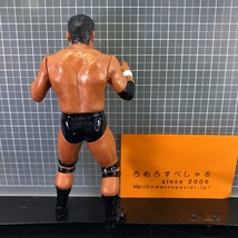 同梱OKΩ■◇【フィギュア】飯塚高史/Takashi Iizuka/新日本プロレス/NJPW【格闘技】_画像2