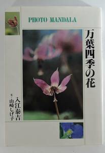 *05A# фото * man dala десять тысяч лист сезонные цветы входить ... документ : Yamazaki ...#1988 год 