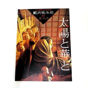 籔内佐斗司 大仏開眼1250年奉賛 太陽と華と展 絵葉書セット