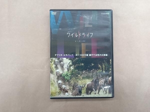 DVD ワイルドライフ アフリカ大サバンナ ヌー100万頭 親子で決死の大移動