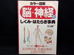 カラー図解 脳・神経のしくみ・はたらき事典 野上晴雄