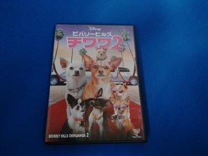 DVD ビバリーヒルズ・チワワ2