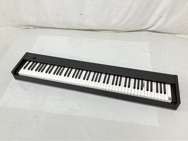 超大特価 KORG 電子ピアノ 関東引き取り限定 D1 鍵盤楽器 - www