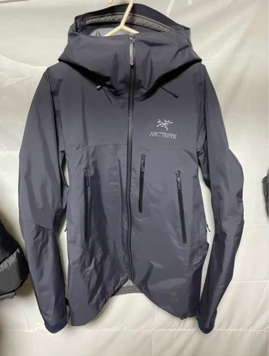 完璧 Lサイズ ARC'TERYX Fission SV Mitten ecousarecycling.com