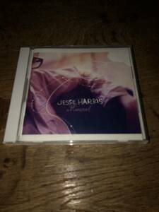 Jesse Harris/Mineral 国内盤CD ジェシーハリス