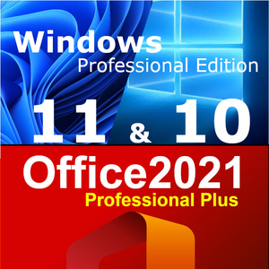 【お得な Win & Office セット】 Windows10 ＆ 11 ☆ Professional + Office2021 Professional Plus