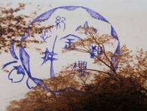 戦前絵葉書　郵便創始50年　1921年　　3銭記念切手貼付け　　　武州小金井の櫻　_画像2