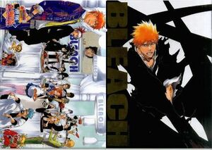 ■貴重品■「BLEACH 10周年記念イベント 原宿卍解祭」 集合/黒崎一護 A4クリアファイル　一護を捜せ!卍解謎解きラリー景品