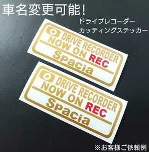 車名変更可能【ドライブレコーダー】カッティングステッカー2枚セット(Spacia)(gl/r)