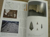 s 図録 歴史発掘おおさか 大阪府発掘調査最新情報2014 大阪府立近つ飛鳥博物館/遺跡 古墳 縄文 弥生 古代_画像5