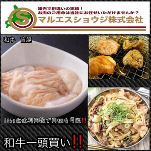 和牛一頭買い！！安心・安全・信頼の北海道産牛【盲腸1kg】冷凍 焼肉 牛盲腸 ホルモン モツ鍋 北海道 10kg迄送料同額にて同梱可能！！