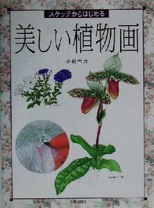 スケッチからはじめる美しい植物画 スケッチからはじめる／小柳吉次(著者)