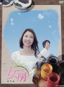 連続テレビ小説　ゲゲゲの女房　総集編　ＤＶＤ－ＢＯＸ／松下奈緒,向井理,野際陽子,窪田ミナ