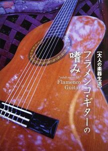 大人の楽器生活　フラメンコ・ギターの嗜み／長谷川暖