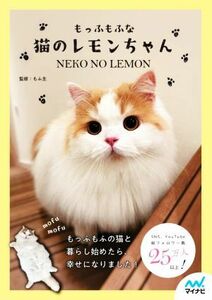 mo..... cat. lemon Chan |...(..)