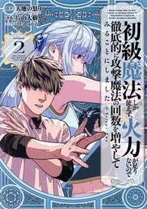 初級魔法しか使えず、火力が足りないので徹底的に攻撃魔法の回数を増やしてみることにしました(ｖｏｌｕｍｅ２) ガンガンＣ／片山大樹(著者