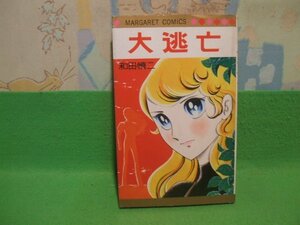 ☆☆☆ 大逃亡　ヤケきついです☆☆昭和55年発行　和田慎二　マーガレットコミックス　集英社