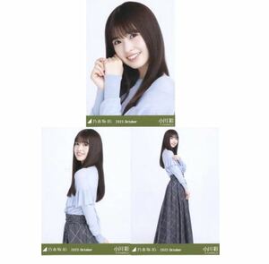 【C117】乃木坂46 公式グッズ 生写真 3枚コンプ　ヨリチュウヒキ　小川彩　ウィンドウペンチェック　乃木坂46 2022.October