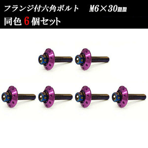 フランジ付六角ボルト M6×30mm P1.0 カラーワッシャー フジツボ 20×4mm 6個set 車 汎用 外装 カー用品 焼きチタン×パープル