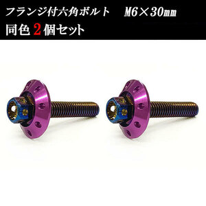 フランジ付六角ボルト M6×30mm P1.0 カラーワッシャー フジツボ 20×4mm 2個set 車 汎用 外装 カー用品 焼きチタン×パープル