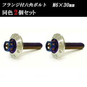 フランジ付六角ボルト M6×30mm P1.0 カラーワッシャー フジツボ 20×4mm 2個set 車 汎用 外装 カー用品 焼きチタン×シルバー