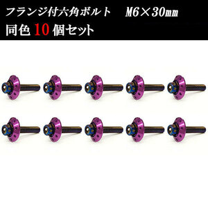 フランジ付六角ボルト M6×30mm P1.0 カラーワッシャー フジツボ 20×4mm 10個set 車 汎用 外装 カー用品 焼きチタン×パープル