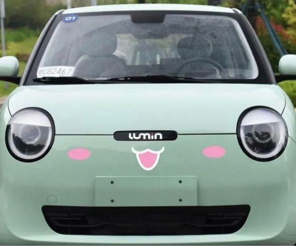 フロント カーステッカー 自動車③