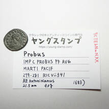 【古代ローマコイン】Probus（プロブス）クリーニング済 ブロンズコイン 銅貨(9CTEbNmNXX)_画像10