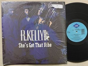 12インチ R. Kelly & Public Announcement 試聴 She's Got That Vibe 01241-42025-1 New Jack Swing R・ケリー