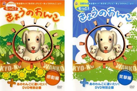 2023年最新】ヤフオク! -きょうのわんこ dvdの中古品・新品・未使用品一覧