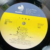 record　レコード　佐々木幸男　Tの青春　1981年発売　ジャパニーズポップス　邦楽　1円スタート_画像9