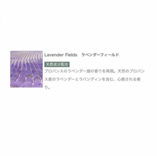 Lavender Fields　ラベンダーフィールド30ml Prolitec