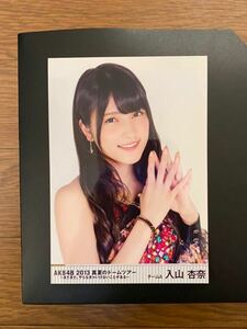 AKB48 入山杏奈 写真 DVD特典 真夏のドームツアー 1種 難有り