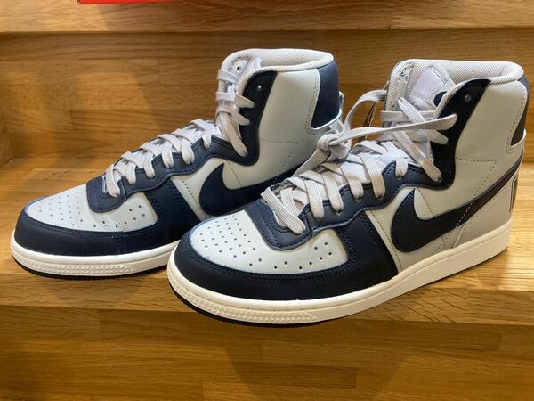 Nike Terminator High Georgetown(2022)