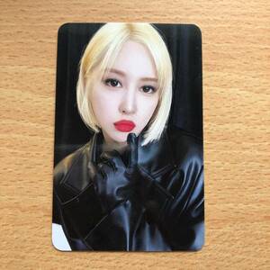 EDAYOUNG(dayon) trading card cosmos young lady (WJSN) 2023 SEASON'S GREETINGS official goods Korea K-POP