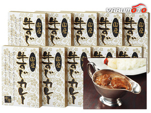 国産牛すじカレー中辛 10食 国産牛すじカレー180g×10 レトルト KGS-50 内祝い お祝い 返礼品 贈答 進物 ギフトプレゼント 税率8％