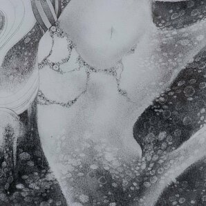 【絵画】『 加藤彩 「人魚姫」 鉛筆画 オリジナル 額装 紙箱 13156 』 かとうあや イラストレーター インテリア 女性画 芸術 美術 幻想の画像4