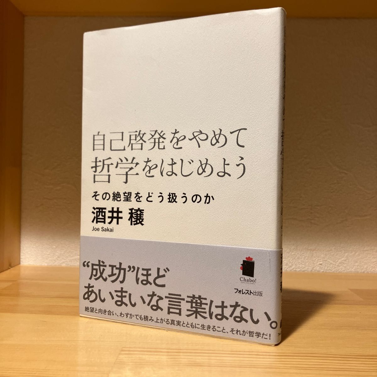 カラーセラピーと高度消費社会の信仰 ニューエイジ スピリチュアル