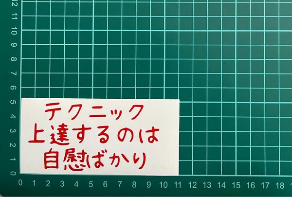 カッティングステッカー　車　バイク　シール　詩　ステッカー　トラック　おもしろ　デコトラ　下ネタ　ポエム　文字　ジョーク