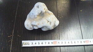  natural stone Ibaraki prefecture large . unevenness . stone 560g.. for, aquarium, garden stone, suiseki st, bonsai, tray stone, raw ore, mineral 