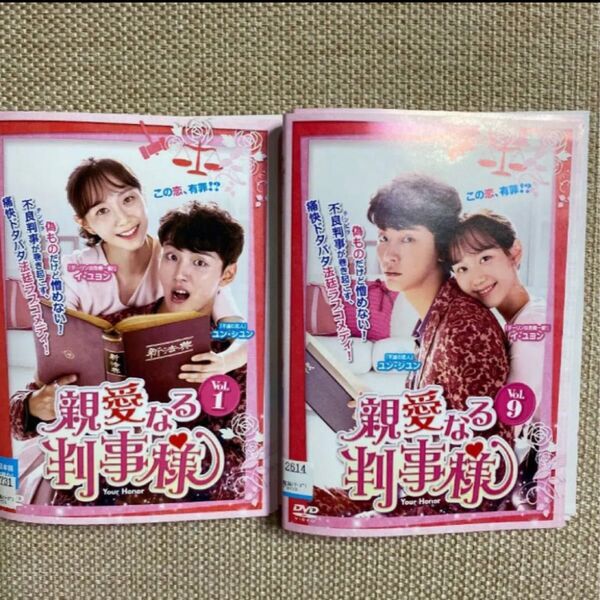 韓国ドラマ 親愛なる判事様 全話