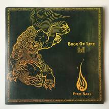 221227●FIRE BALL - BOOK OF LIFE～炎の章～/2003年/LSR-015/12inch LP アナログ盤_画像1