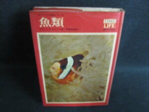 魚類　ライフ大自然シリーズ　箱無し・シミ日焼け強/HBD